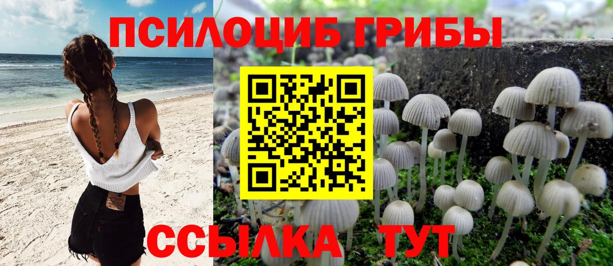 Медногорск  Галлюциногенные грибы ЛСД  Вход с VPN 